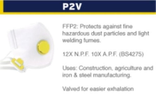 [RP024] FFP2 X10 FOLD FLAT VALVED MASK REF.222