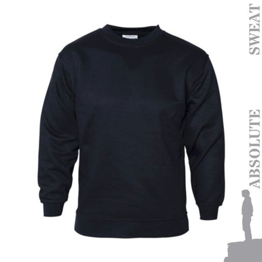 [SS056] AA24 STERLING SWEATSHIRT